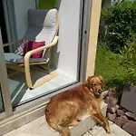 2 Pieces A 500 M Des Plages Et Du Centre Appartement Cabourg