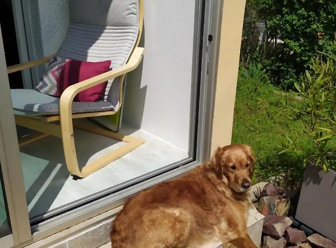 2 Pièces à 500 M Des Plages Et Du Centre Apartamento Cabourg