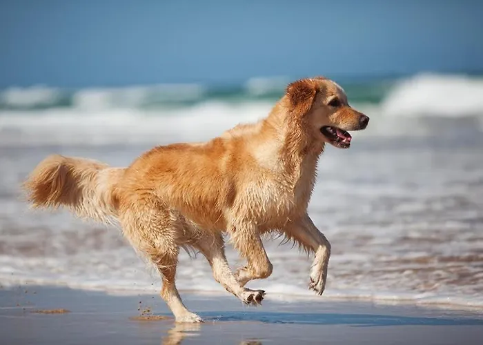 2 Pièces à 500 M Des Plages Et Du Centre Apartamento Cabourg