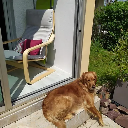 2 Pieces A 500 M Des Plages Et Du Centre Апартаменты Кабур