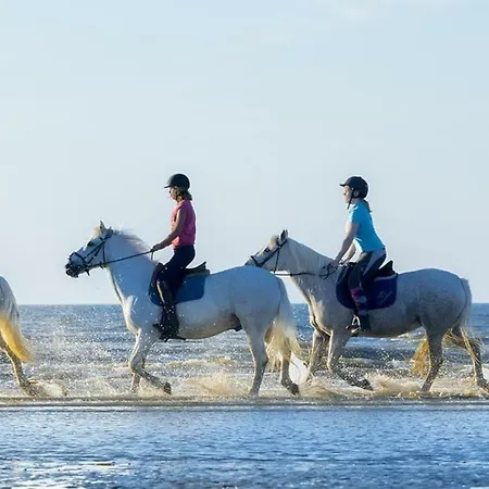 2 Pieces A 500 M Des Plages Et Du Centre Апартаменты Кабур