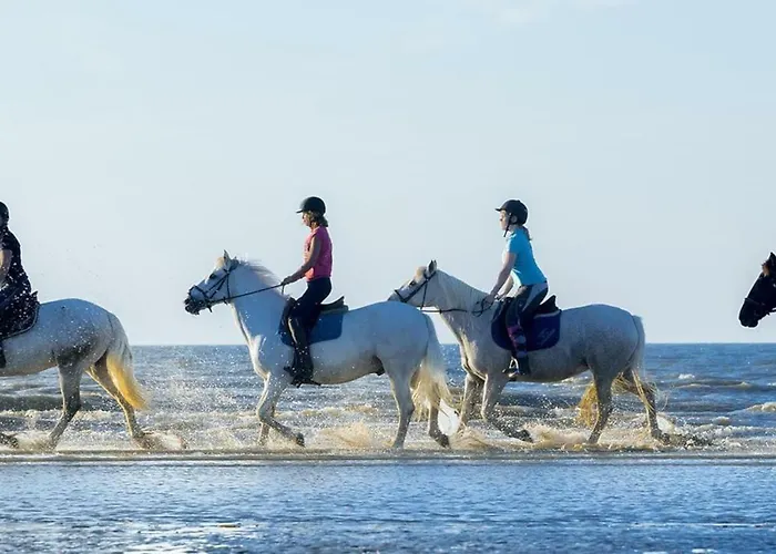 2 Pieces A 500 M Des Plages Et Du Centre Apartmán Cabourg